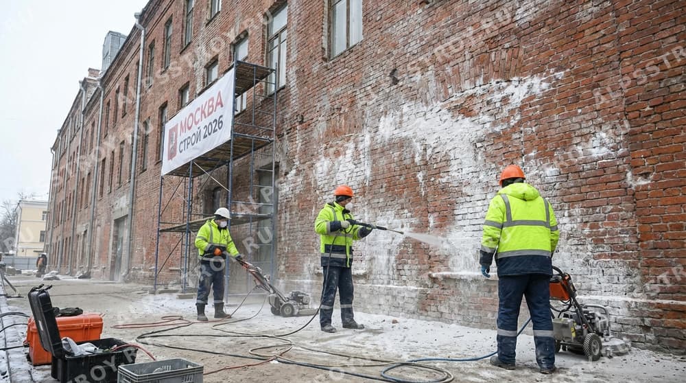 Что такое высолы и почему их нужно удалять?